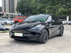 Tesla Model Y Standard Range RWD - ფოტო 1