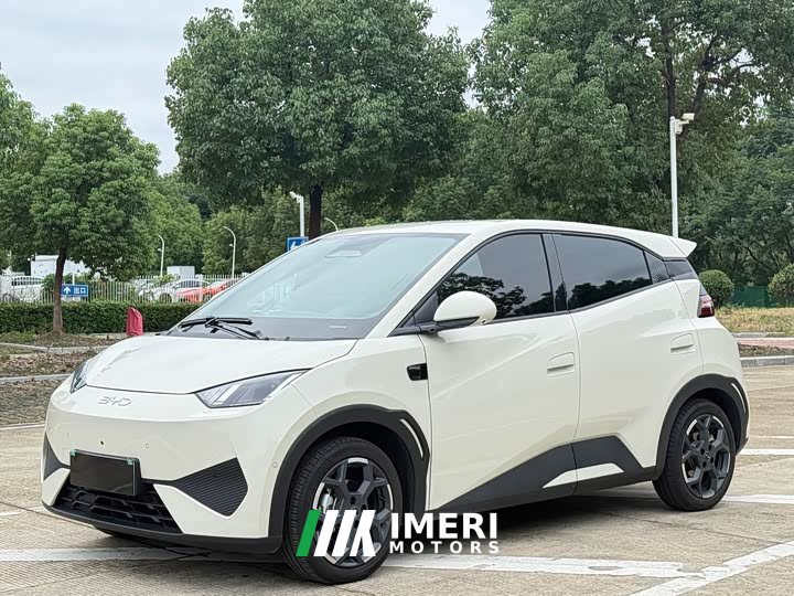 BYD Seagull Smart Driving Edition 305km Freedom Edition - ავტომობილი ჩინეთიდან