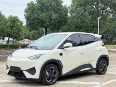 BYD Seagull Smart Driving Edition 305km Freedom Edition - ფოტო 1