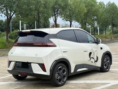 BYD Seagull Smart Driving Edition 305km Freedom Edition - ფოტო 11