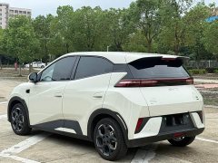 BYD Seagull Smart Driving Edition 305km Freedom Edition - ფოტო 9