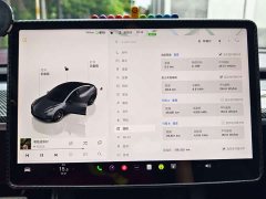 Tesla Model 3 Performance All-Wheel Drive - ფოტო 12