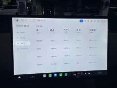 Xiaomi YU7 Four-Wheel Drive Pro - ფოტო 10