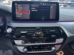 BMW 5 Series 530Li Premier M Sport Package - ფოტო 8