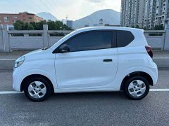 SAIC Corey Wei CLEVER 2021 302km All-Purpose Edition - ფოტო 2