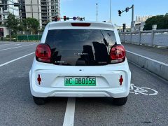 SAIC Corey Wei CLEVER 2021 302km All-Purpose Edition - ფოტო 9