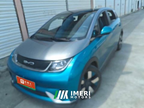 2023 BYD Dolphin 401km Knight Edition - ავტომობილი ჩინეთიდან
