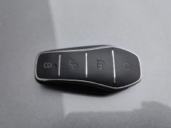 BYD Qin PLUS Champion Edition DM-i 55KM Leading - ფოტო 19