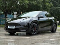 Tesla Model Y Standard Range RWD - ფოტო 1