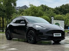 Tesla Model Y Standard Range RWD - ფოტო 5