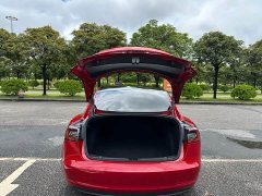 Tesla Model 3 Standard Range RWD Upgrade 3D6 - ფოტო 17
