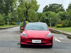 Tesla Model 3 Standard Range RWD Upgrade 3D6 - ფოტო 2