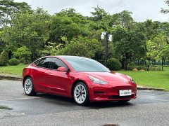 Tesla Model 3 Standard Range RWD Upgrade 3D6 - ფოტო 3