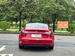 Tesla Model 3 Standard Range RWD Upgrade 3D6 - ფოტო 4
