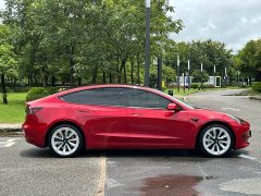 Tesla Model 3 Standard Range RWD Upgrade 3D6 - ფოტო 8