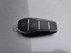 BYD Qin PLUS Champion Edition DM-i 55KM Leading - ფოტო 19