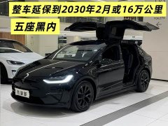 Tesla Model X Dual Motor All-Wheel Drive - ფოტო 1
