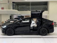 Tesla Model X Dual Motor All-Wheel Drive - ფოტო 5