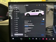 Tesla Model X Dual Motor All-Wheel Drive - ფოტო 6