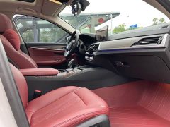 BMW 5 Series 530Li Premier Luxury Package - ფოტო 15