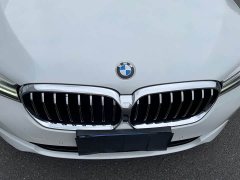 BMW 5 Series 530Li Premier Luxury Package - ფოტო 19