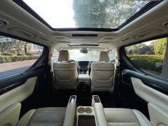 Toyota Alphard Hybrid 2.5L Luxury - ფოტო 16