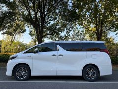 Toyota Alphard Hybrid 2.5L Luxury - ფოტო 2
