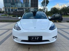 Tesla Model Y Performance All-Wheel Drive - ფოტო 1