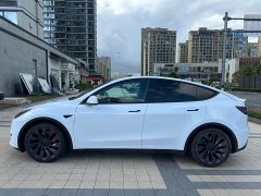Tesla Model Y Performance All-Wheel Drive - ფოტო 10