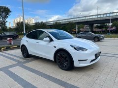 Tesla Model Y Performance All-Wheel Drive - ფოტო 2
