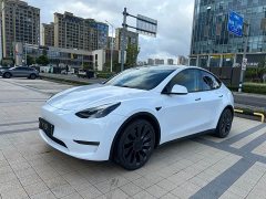 Tesla Model Y Performance All-Wheel Drive - ფოტო 3
