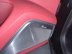 Porsche Cayenne 3.0T Platinum Edition - ფოტო 10