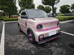 Geely Panda 2025 210km Panda Kart - ფოტო 3