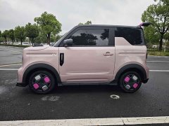 Geely Panda 2025 210km Panda Kart - ფოტო 4