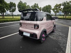 Geely Panda 2025 210km Panda Kart - ფოტო 7