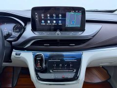 Buick GL8 Land Executive Cabin 652T Luxury - ფოტო 12