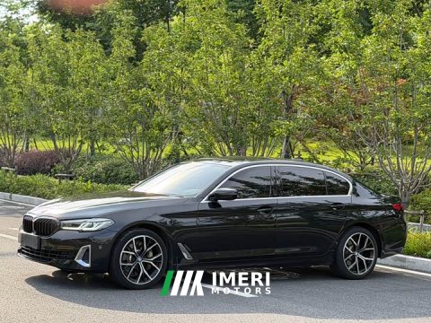 2021 BMW 5 Series 530Li Luxury Edition Premium Package - ავტომობილი ჩინეთიდან