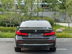BMW 5 Series 530Li Luxury Edition Premium Package - ფოტო 8