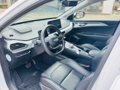 Geely Geometry A 410KM Travel Edition - ფოტო 8