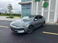 BYD Qin Plus 2021 EV 400KM Leading Comfort Edition - ფოტო 4