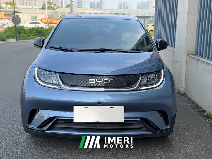 BYD Dolphin 420km Freedom Edition