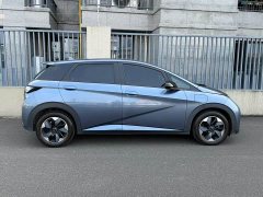 BYD Dolphin 420km Freedom Edition - ფოტო 3
