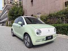 ORA Black Cat 301km Cute Pet Edition LFP Battery - ფოტო 3