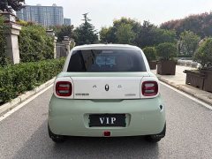 ORA Black Cat 301km Cute Pet Edition LFP Battery - ფოტო 8