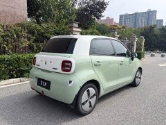 ORA Black Cat 301km Cute Pet Edition LFP Battery - ფოტო 9