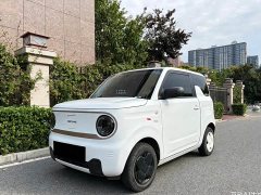 Geely Panda 200km Panda Kart - ფოტო 1