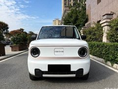 Geely Panda 200km Panda Kart - ფოტო 2