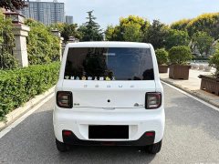 Geely Panda 200km Panda Kart - ფოტო 8