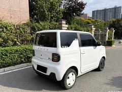 Geely Panda 200km Panda Kart - ფოტო 9
