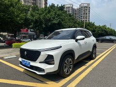 Baojun RS-3 1.5L CVT 24 Version - ფოტო 1